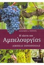 Η ΤΕΧΝΗ ΤΗΣ ΑΜΠΕΛΟΥΡΓΙΑΣ-ΑΜΠΕΛΙ ΟΙΝΟΠΟΙΙΑΣ