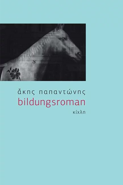 BILDUNGSROMAN