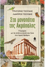 ΣΤΑ ΜΟΝΟΠΑΤΙΑ ΤΗΣ ΑΚΡΟΠΟΛΗΣ