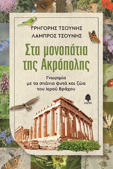 ΣΤΑ ΜΟΝΟΠΑΤΙΑ ΤΗΣ ΑΚΡΟΠΟΛΗΣ