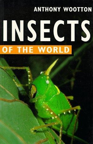 INSECTS OF THE WORLD PB