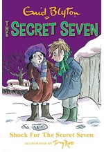 THE SECRET SEVEN 13 SHOCK FOR THE SECRET SEVEN PB