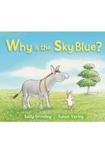 WHY IS THE SKY BLUE PB