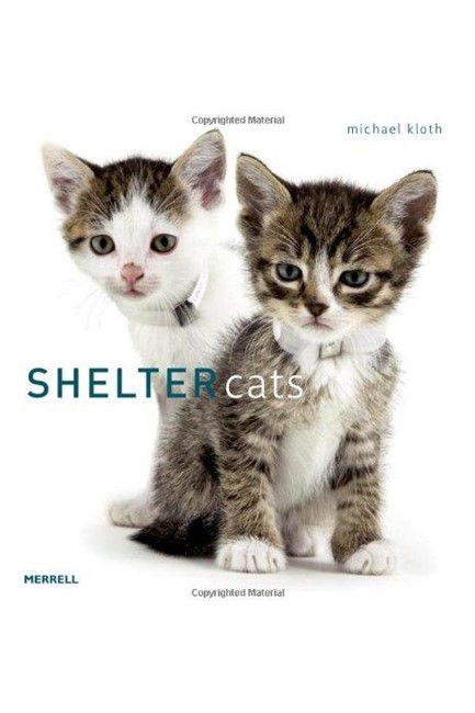 SHELTER CATS HB