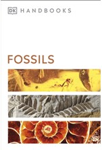 DK HANDBOOKS-FOSSILS PB