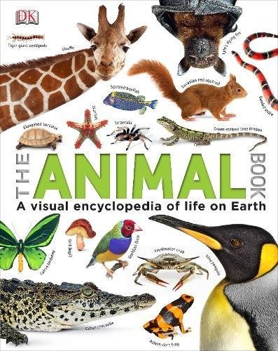 THE ANIMAL BOOK HB