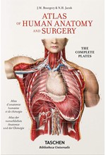 ATLAS OF HUMAN ANATOMY