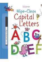 WIPE CLEAN BOOKS CAPITAL LETTERS