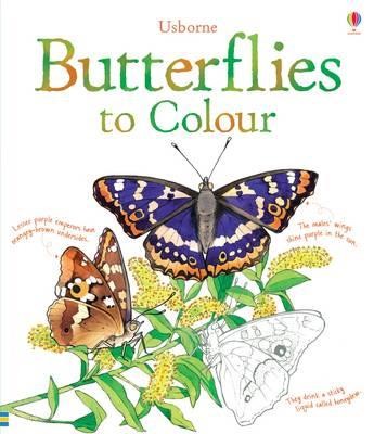 BUTTERFLIES COLOURING BOOK