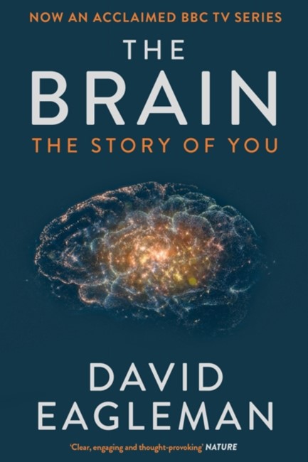 THE BRAIN-THE STORY OF YOU