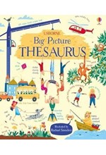 BIG PICTURE THESAURUS HB