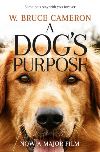 A DOG'S PURPOSE PB