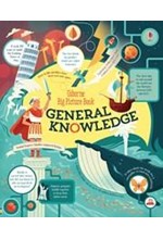 BIG PICTURE BOOK OF GENERAL KNOWLEDGE