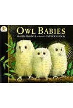 OWL BABIES PB