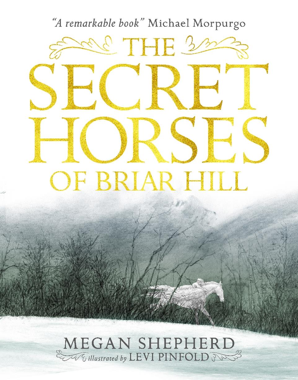 Secret horse files 4. The Secret to Horses. Grim Lovelies by Megan Shepherd quotes.