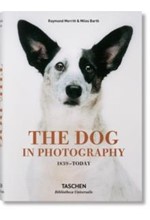 THE DOG IN PHOTOGRAPHY 1839-TODAY HB