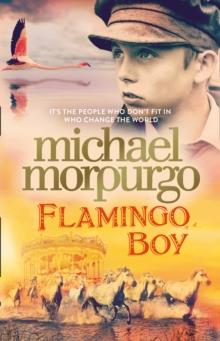 FLAMINGO BOY TPB