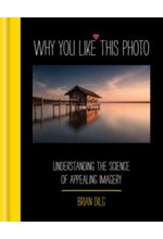 WHY YOU LIKE THIS PHOTO : THE SCIENCE OF PERCEPTION, AND HOW WE UNDERSTAND PHOTOGRAPHS