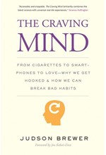 THE CRAVING MIND : FROM CIGARETTES TO SMARTPHONES TO LOVE - WHY WE GET HOOKED AND HOW WE CAN BREAK B