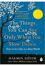 THE THINGS YOU CAN SEE ONLY WHEN YOU SLOW DOWN : HOW TO BE CALM IN A BUSY WORLD