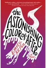 THE ASTONISHING COLOUR OF AFTER