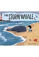 THE STORM WHALE