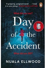 THE DAY OF THE ACCIDENT