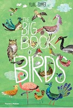 THE BIG BOOK OF BIRDS HB