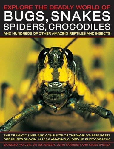 EXPLORE THE DEADLY WORLD OF BUGS SNAKES SPIDERS CROCODILES