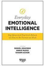 EVERYDAY EMOTIONAL INTELLIGENCE : BIG IDEAS AND PRACTICAL ADVICE ON HOW TO BE HUMAN AT WORK