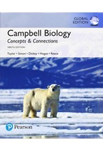 CAMBELL BIOLOGY CONCEPTS AND CONNECTIONS INTERNATIONAL EDITION