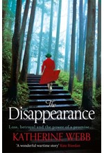 THE DISAPPEARANCE