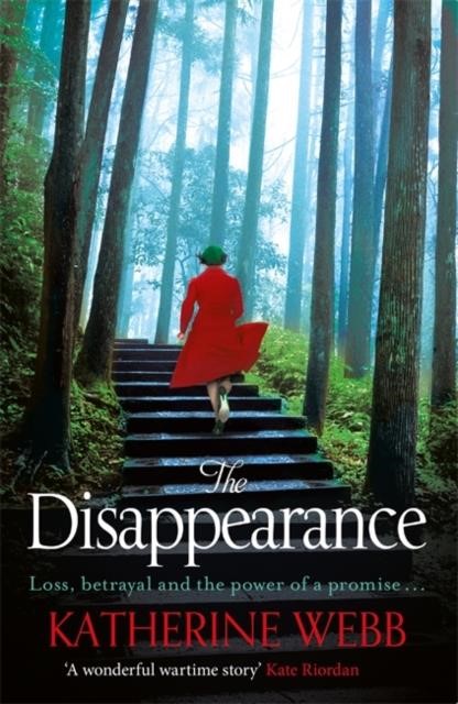 THE DISAPPEARANCE