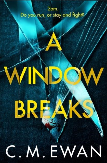 A WINDOW BREAKS