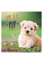 LOVE IS A PUP