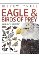 EAGLES & BIRDS OF PREY