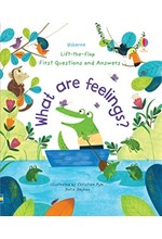 LIFT THE FLAP FIRST QUESTIONS AND ANSWERS WHAT ARE FEELINGS?