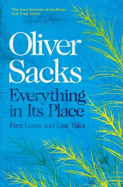 EVERYTHING IN ITS PLACE : FIRST LOVES AND LAST TALES