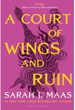 A COURT OF WINGS AND RUIN : 3