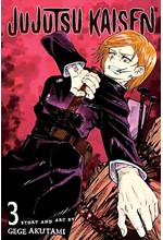 JUJUTSU KAISEN VOL.3