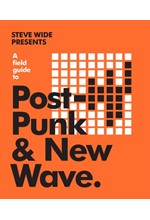 A FIELD GUIDE TO POST PUNK & NEW WAVE