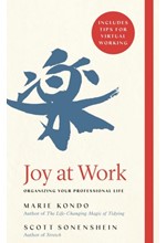 JOY AT WORK : ORGANIZING YOUR PROFESSIONAL LIFE