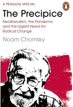 THE PRECIPICE : NEOLIBERALISM, THE PANDEMIC AND THE URGENT NEED FOR RADICAL CHANGE