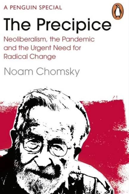 THE PRECIPICE : NEOLIBERALISM, THE PANDEMIC AND THE URGENT NEED FOR RADICAL CHANGE