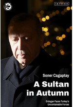 A SULTAN IN AUTUMN : ERDOGAN FACES TURKEY'S UNCONTAINABLE FORCES