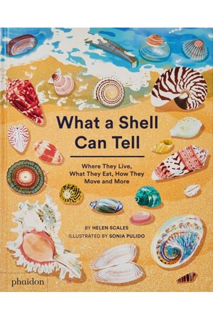 WHAT A SHELL CAN TELL? HB