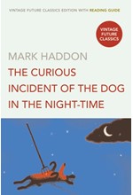 THE CURIOUS INCIDENT OF THE DOG IN THE NIGHT-TIME PB