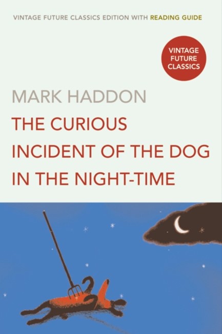 THE CURIOUS INCIDENT OF THE DOG IN THE NIGHT-TIME PB