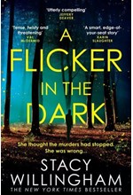 A FLICKER IN THE DARK