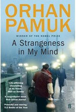 A STRANGENESS IN MY MIND PB